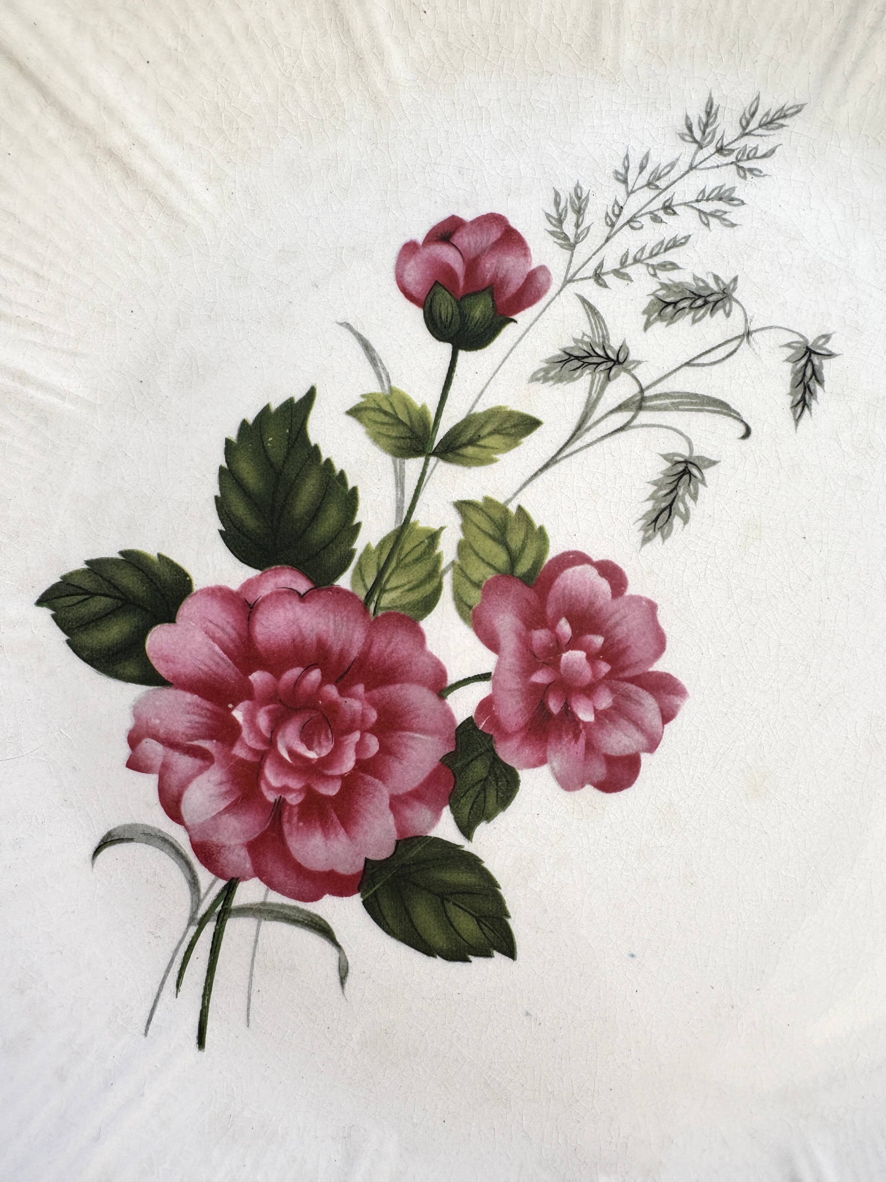 8 Amandinoise dinner plates