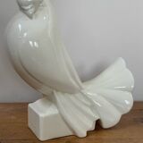 Pigeon Adnet
