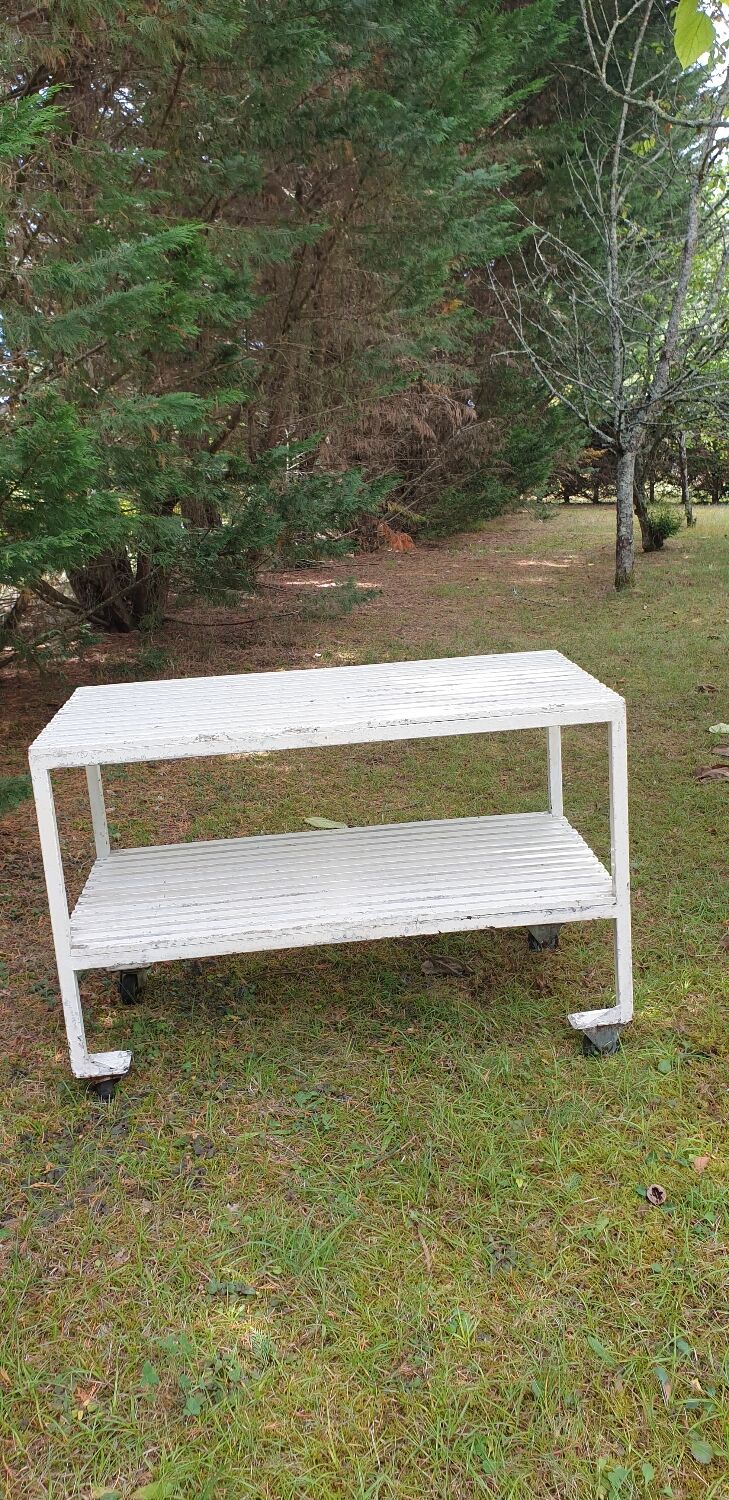 Butcher's trolley, professional furniture