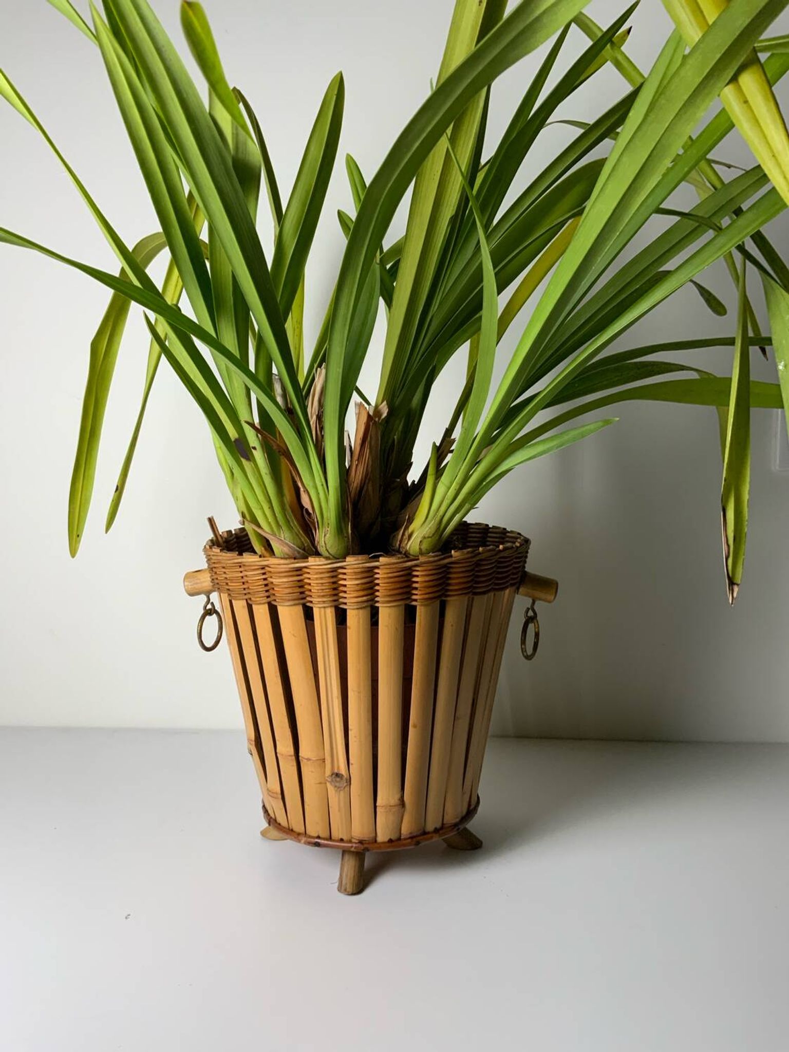 Cache pot en rotin