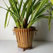 Cache pot en rotin