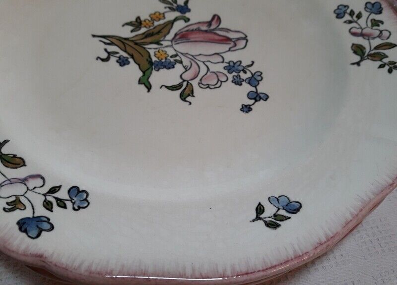 Set of 13 plates Gien earthenware 25cm