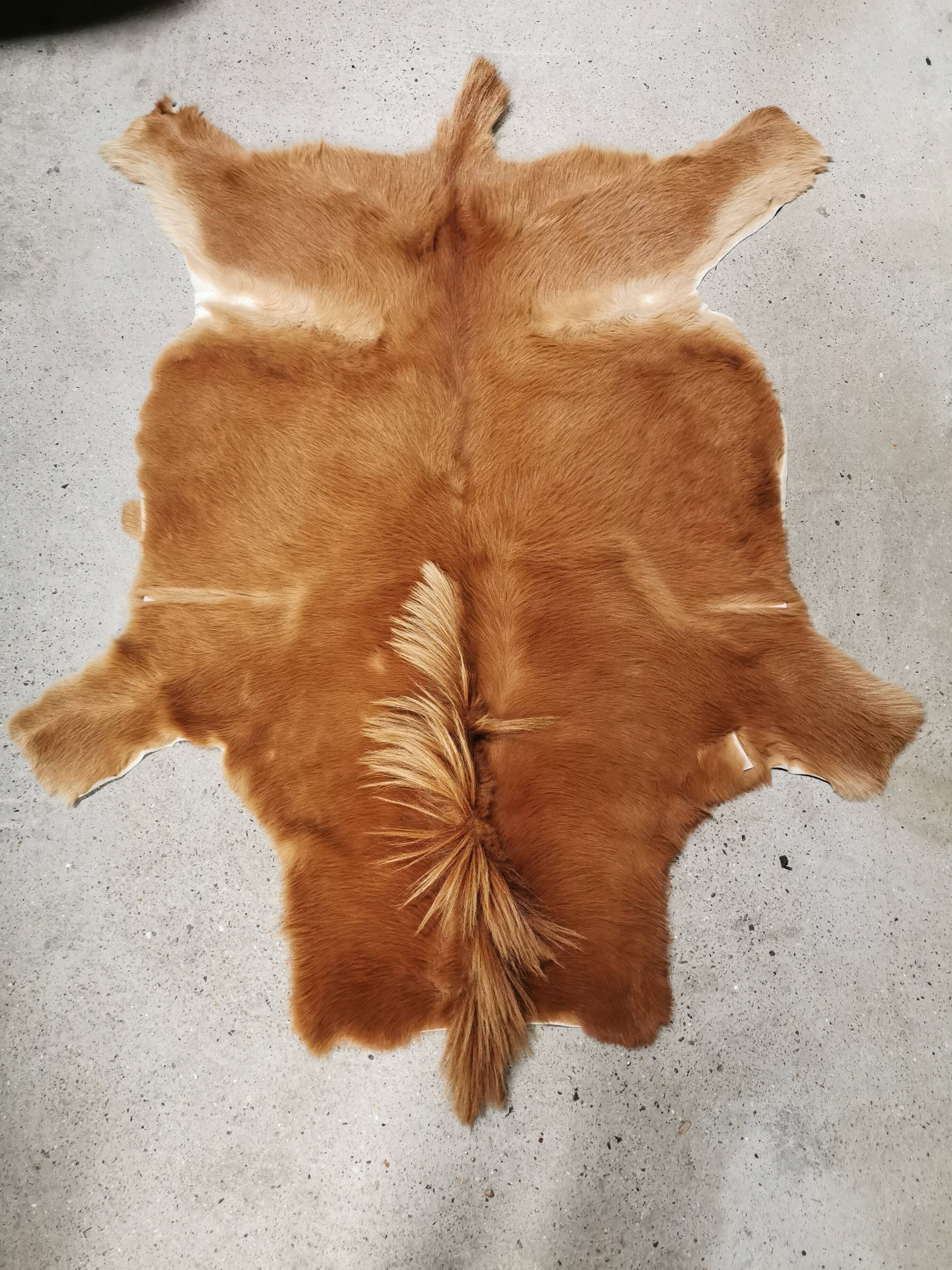 Vintage pony skin rug