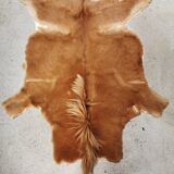 Vintage pony skin rug