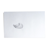 Eclair, original drawing