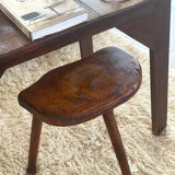 Oak cowbird stool