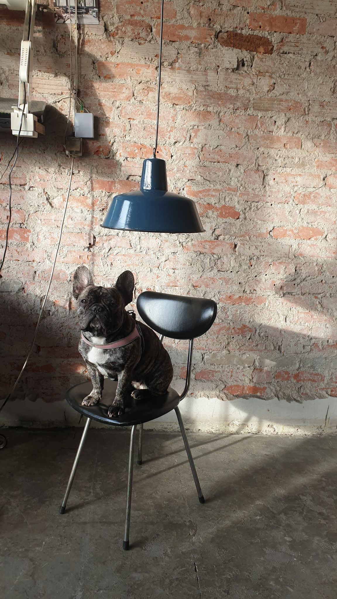Vintage industrial factory ceiling lamp from wikasy a23, 1960s
