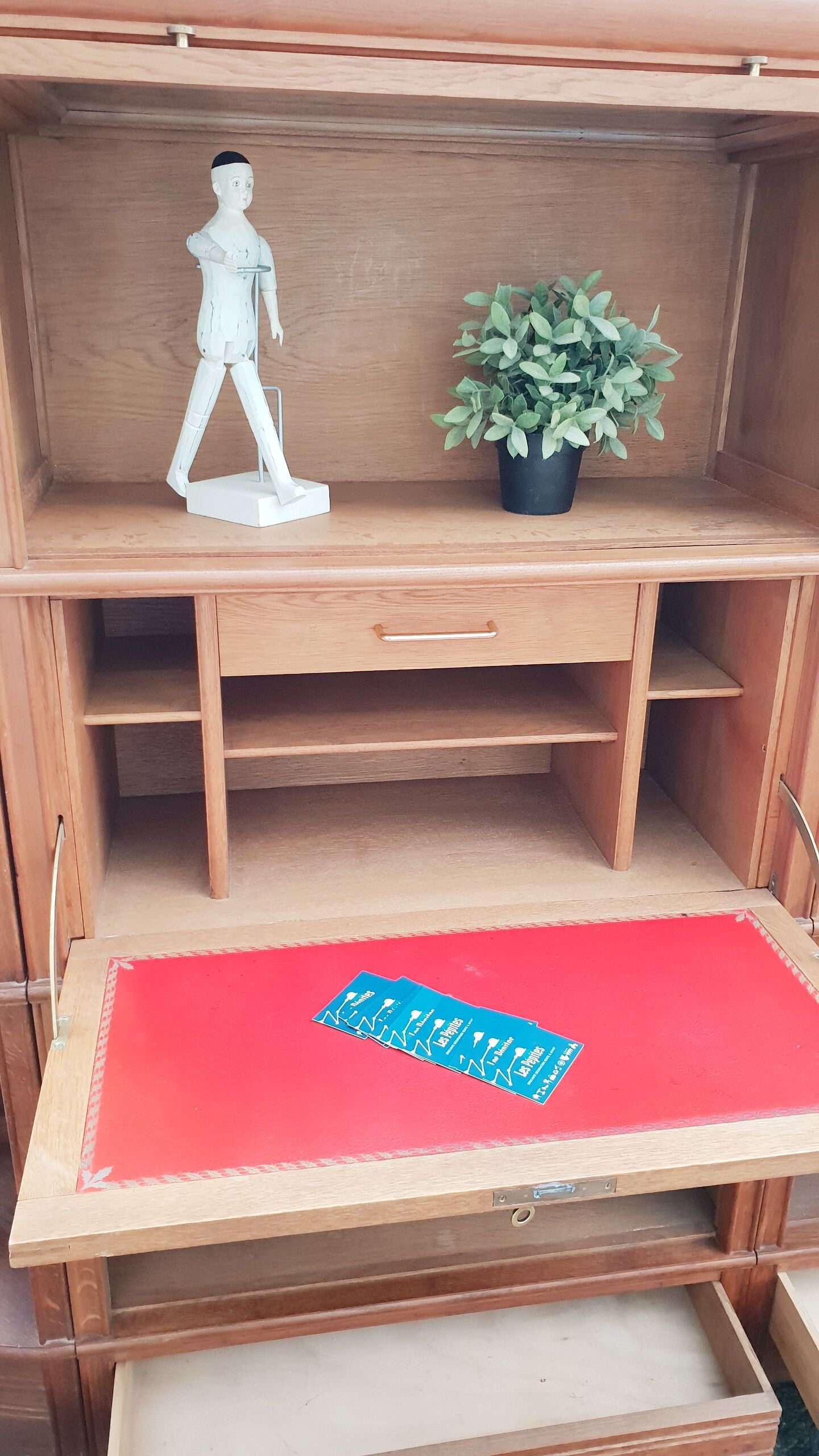 Vintage notary library