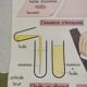 Pedagogical poster