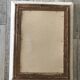 Ancient botanical plank frames