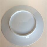 Series of 7 19th porcelain dessert plates