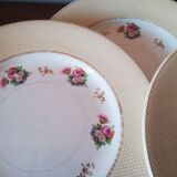 6 earthenware plates by Salins