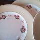 6 earthenware plates by Salins