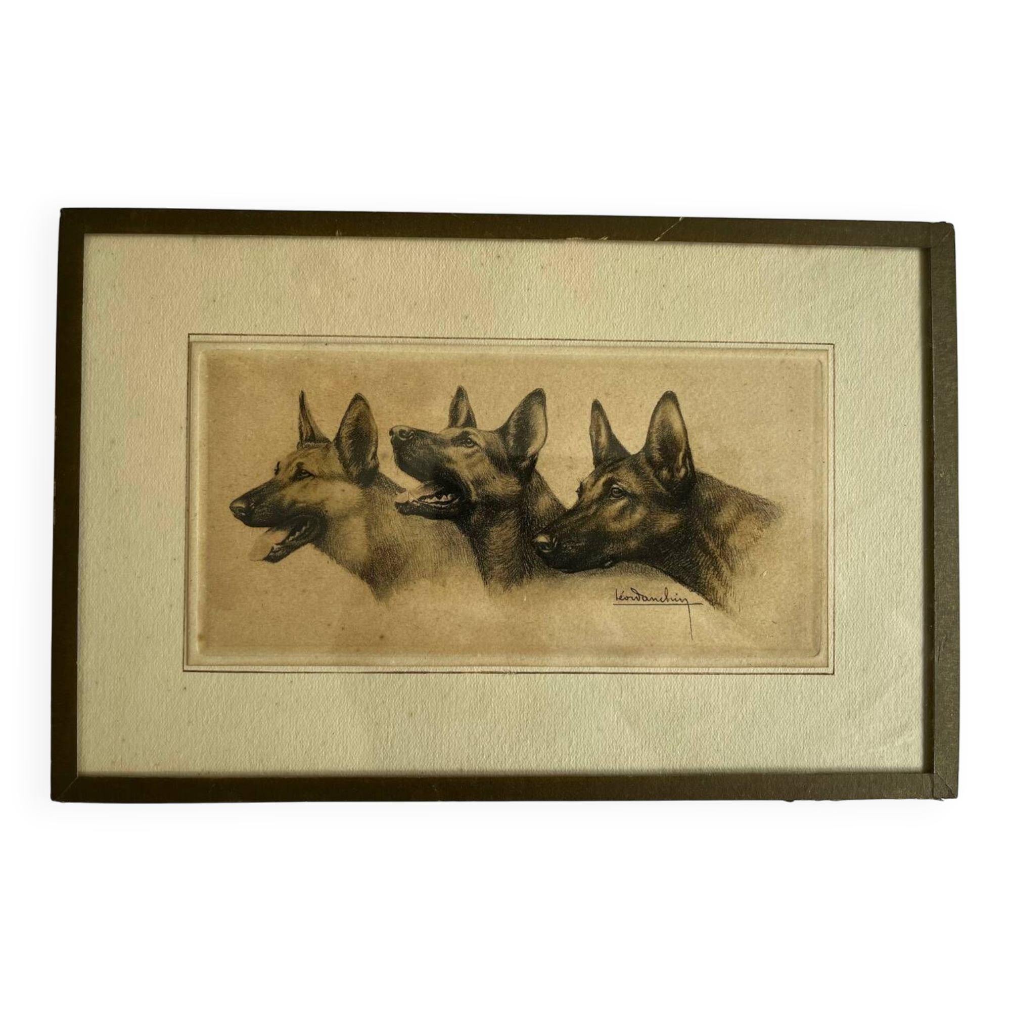 Lithograph of German Shepherds Léon Danchin