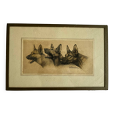 Lithograph of German Shepherds Léon Danchin