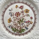 Assiette plate en terre de fer polychrome anglaise "Wild Rose" Booths