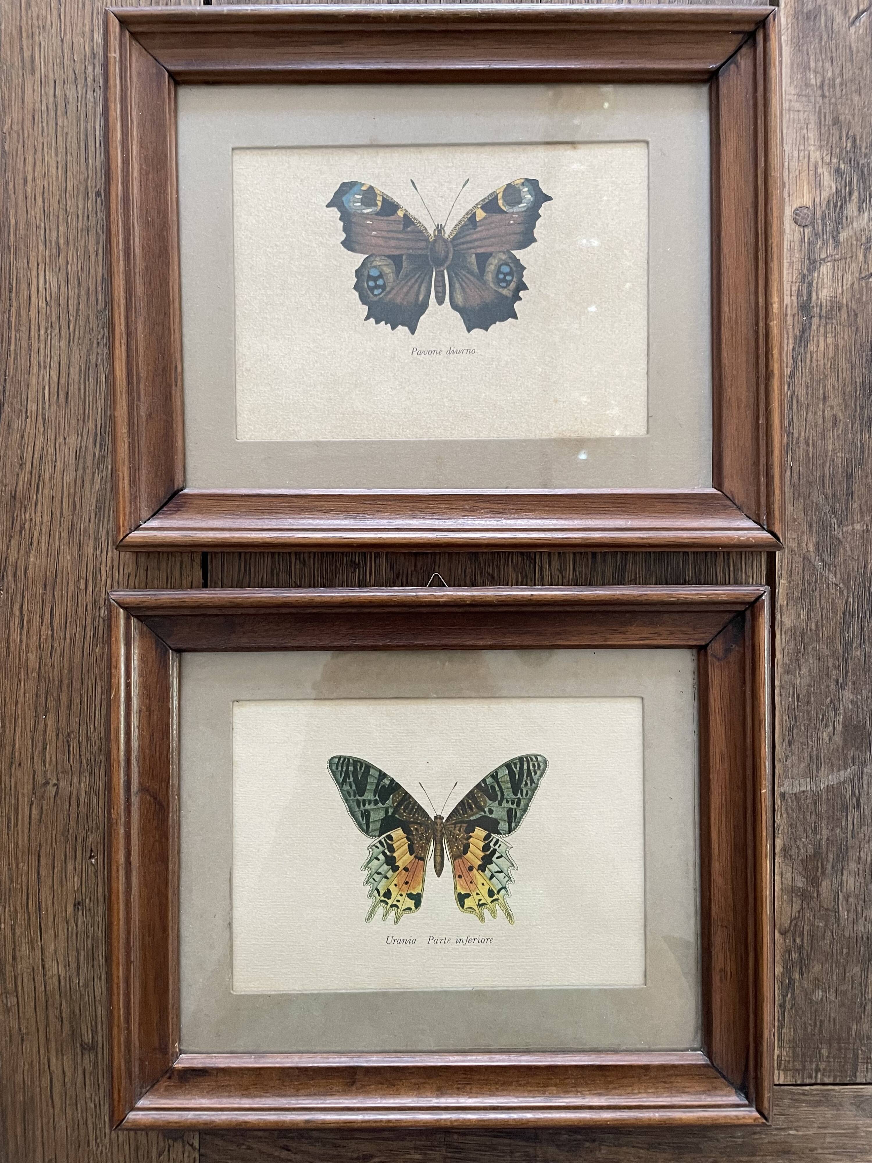 2 old butterfly frames
