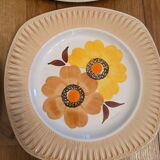 6 Mondovi plates