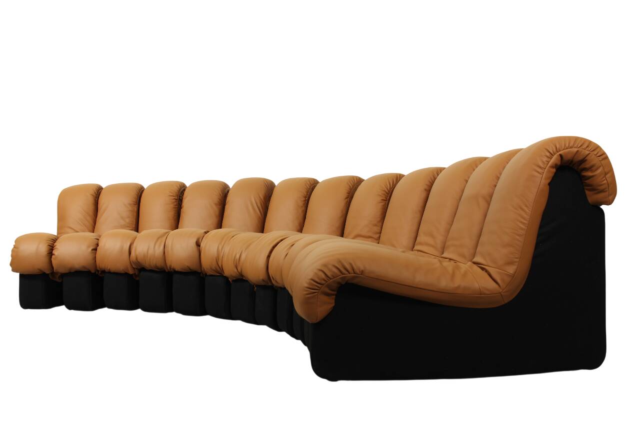 DS-600 'Non Stop' sofa by Eleonore Peduzzi Riva for De Sede with 12 elements, Switzerland 1970s