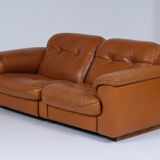 Canapé cuir 2 places ajustable De Sede 101