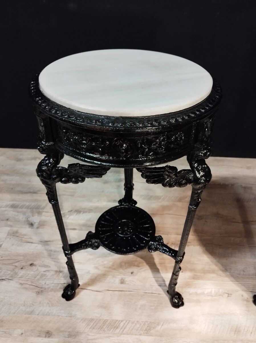 Pair of cast iron pedestal tables XIXth