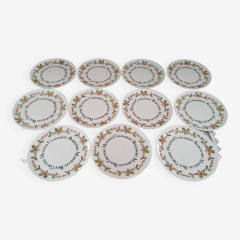 Set of 11 gien france cheese plates from the ma cuisine series