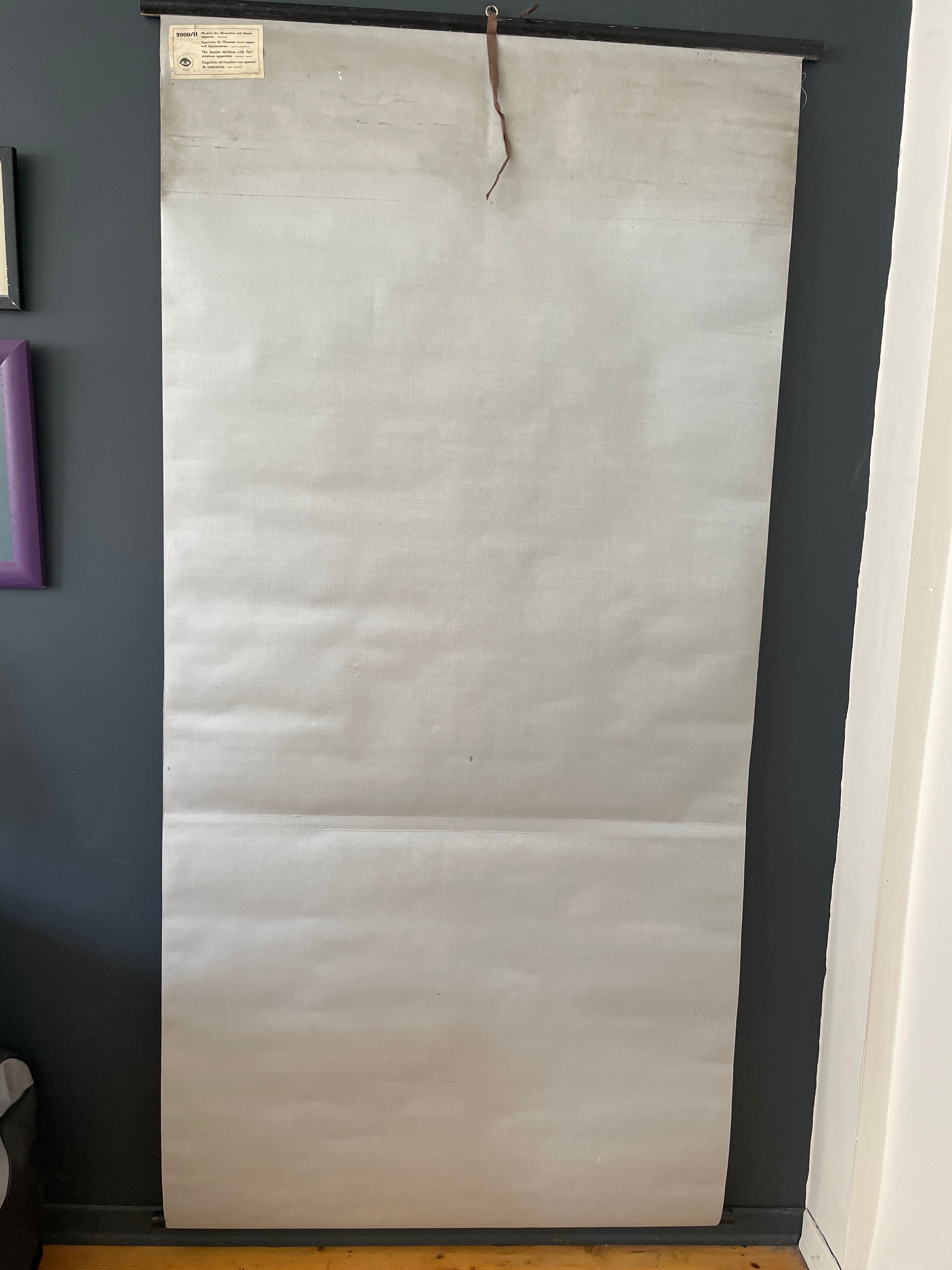 Deutsches Hygiene Museum SKELETON Vintage Medical Poster Wall Board 1960's