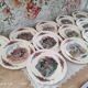 Lot de 12 assiettes à dessert Sarreguemines modèle Obernai
