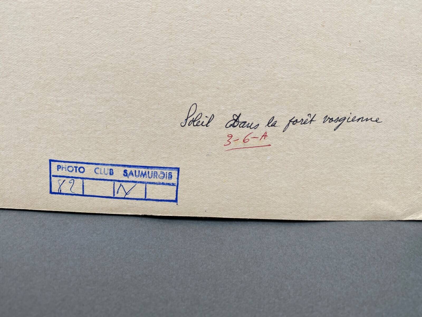 Silver gelatin photograph by Bernard Darot AFIAP. Sun in the Vosges Forest