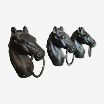 Horses