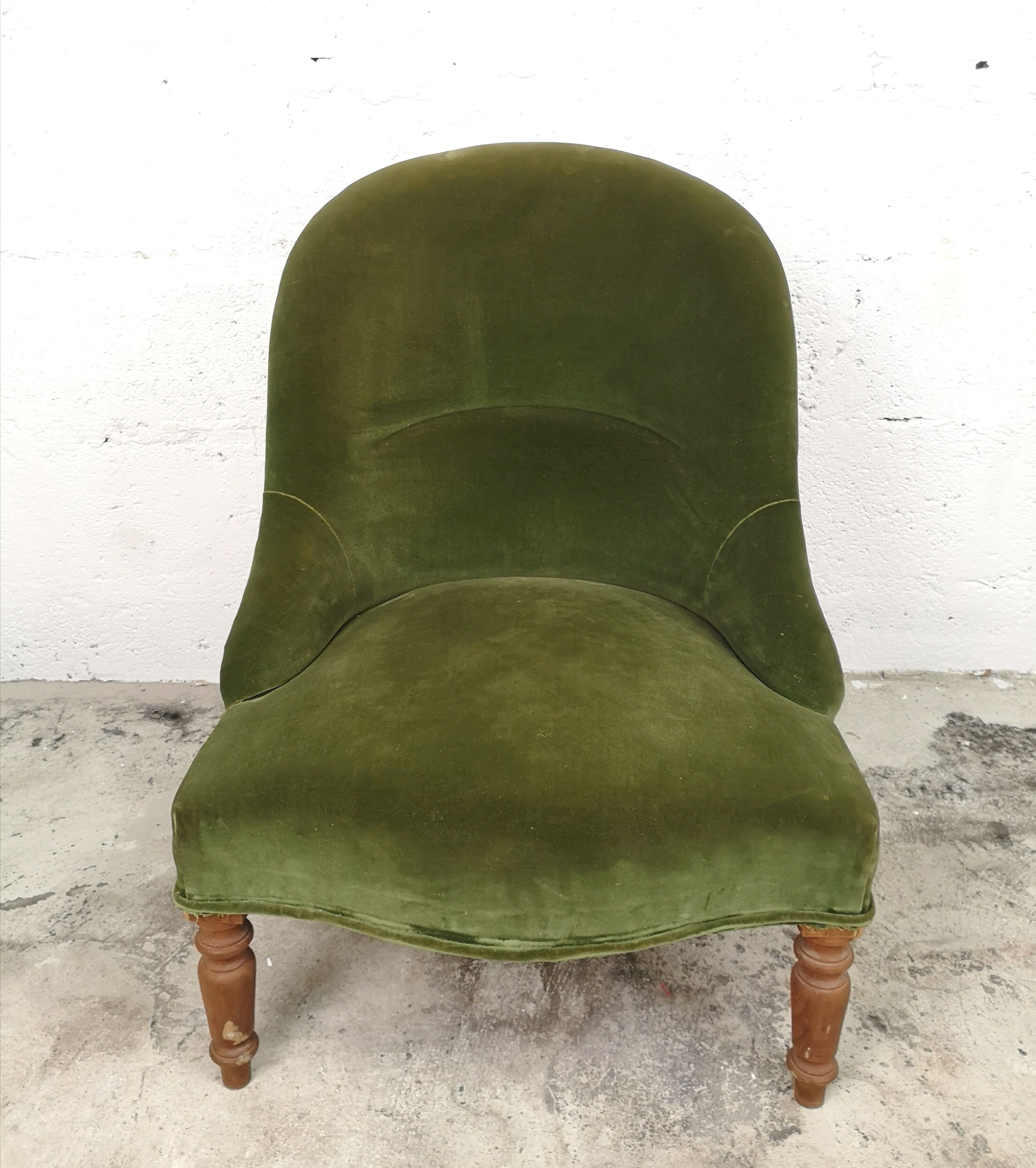 Armchair green toad