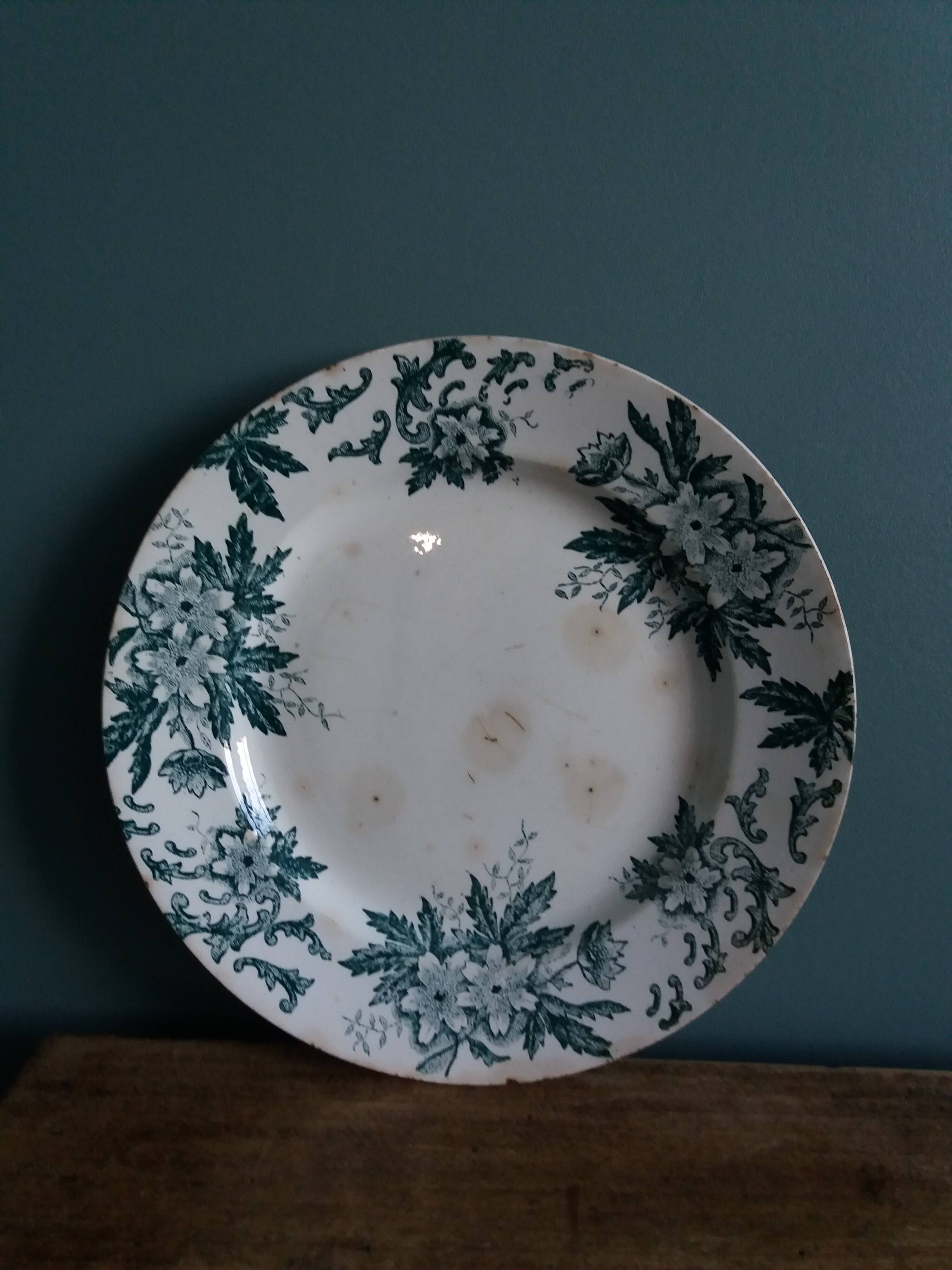 Saint-Amand ironstone dinner plate with anemone green decoration