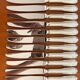 Christofle Chinon 12 table knives 24.5 cm