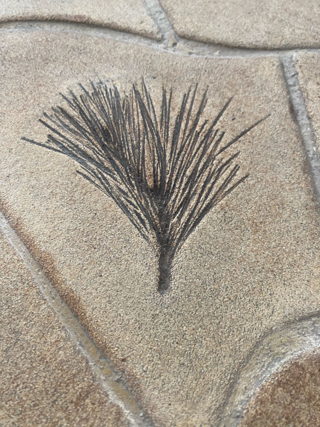 Vintage coffee table signed Barrois