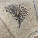 Vintage coffee table signed Barrois