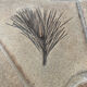Vintage coffee table signed Barrois