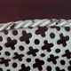 Perforated metal tray Mathieu Mategot 34cm