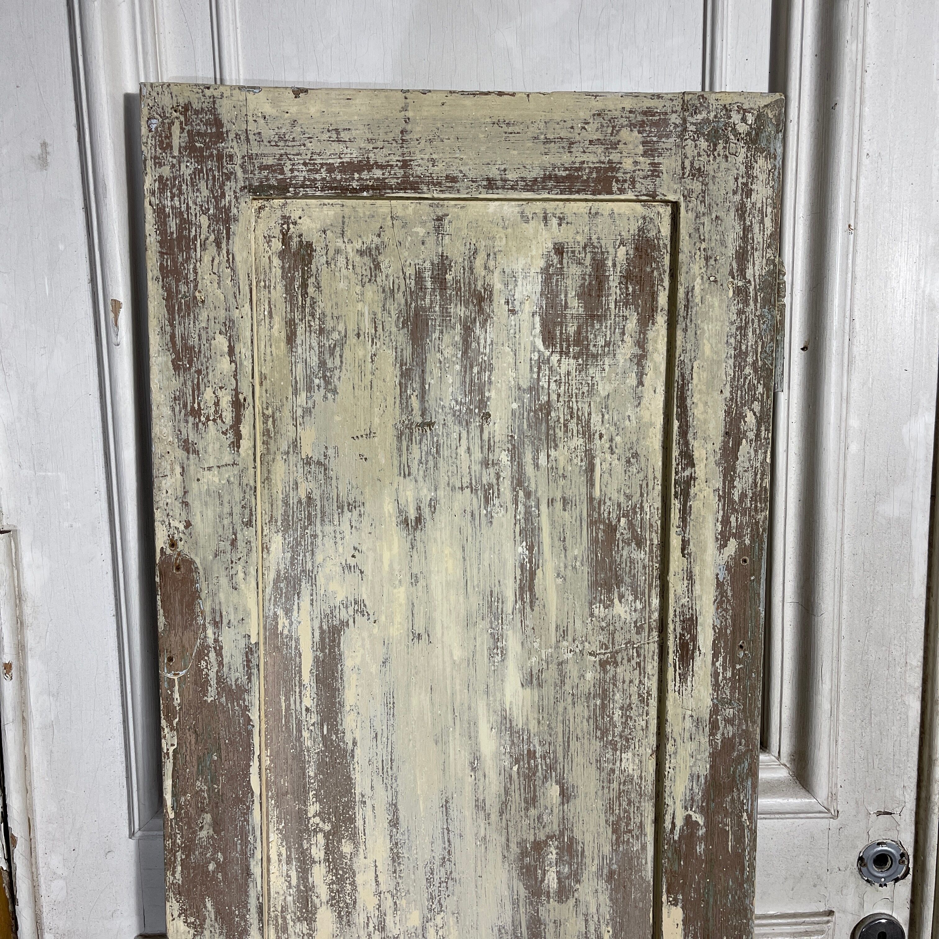Old closet door 180 x 50