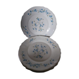 Set of 6 flat plates Arcopal Veronica pattern