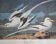 Vintage reproduction after jean-jacques audubon, ornithology, phaeton etheré