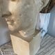 Plaster bust