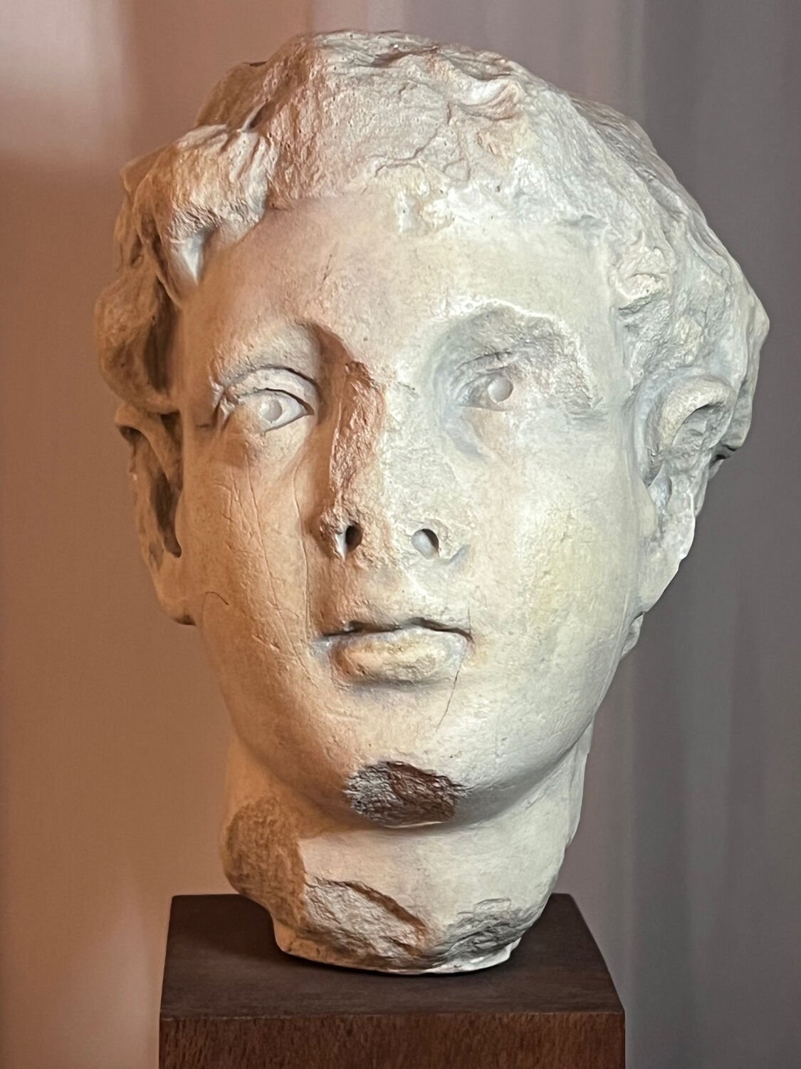Bust, head of a young man - reproduction from the museum of Sens