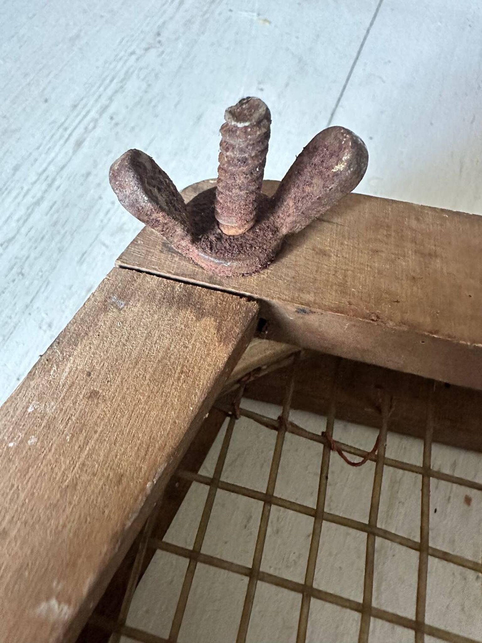 Old tennis racket