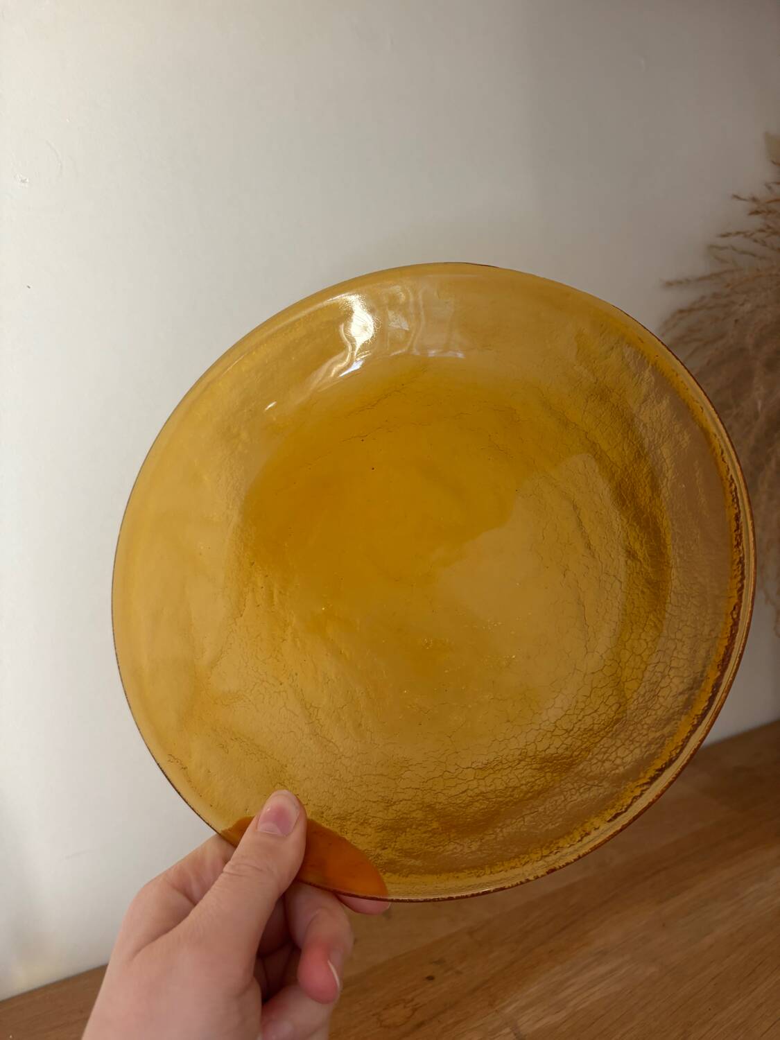 Vintage set of 6 amber brown plates Arcoroc Sierra