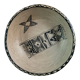 Sejnane plate