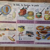 Rossignol educational poster