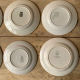 Mismatched plates Terre de Fer