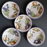 5 hollow botanical plates Saint George Andina