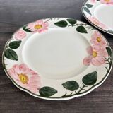 Villeroy & Boch dessert plates