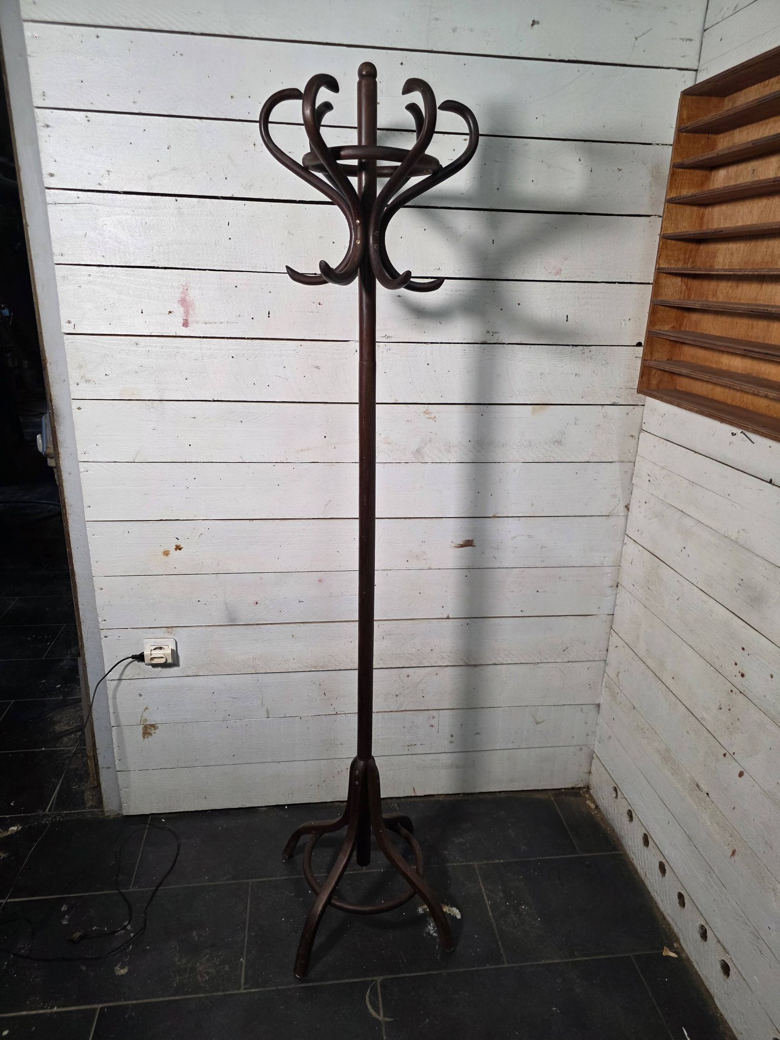 Perroquet en bois courbé ancien 